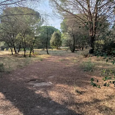 Апартаменты Location Saisonniere Curiste