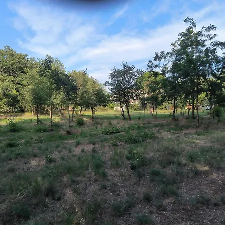 Апартаменты Location Saisonniere Curiste *