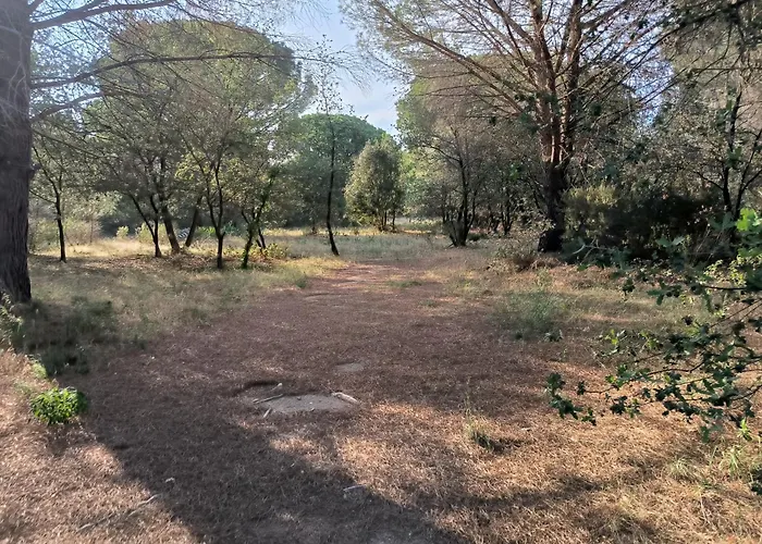 Apartamento Location Saisonniere Curiste